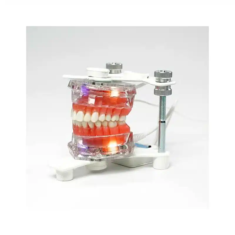 Tipodonto Electrónico | Grinendent - Imagen 1