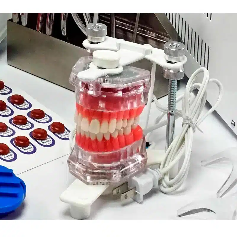 Tipodonto Electrónico | Grinendent - Imagen 2